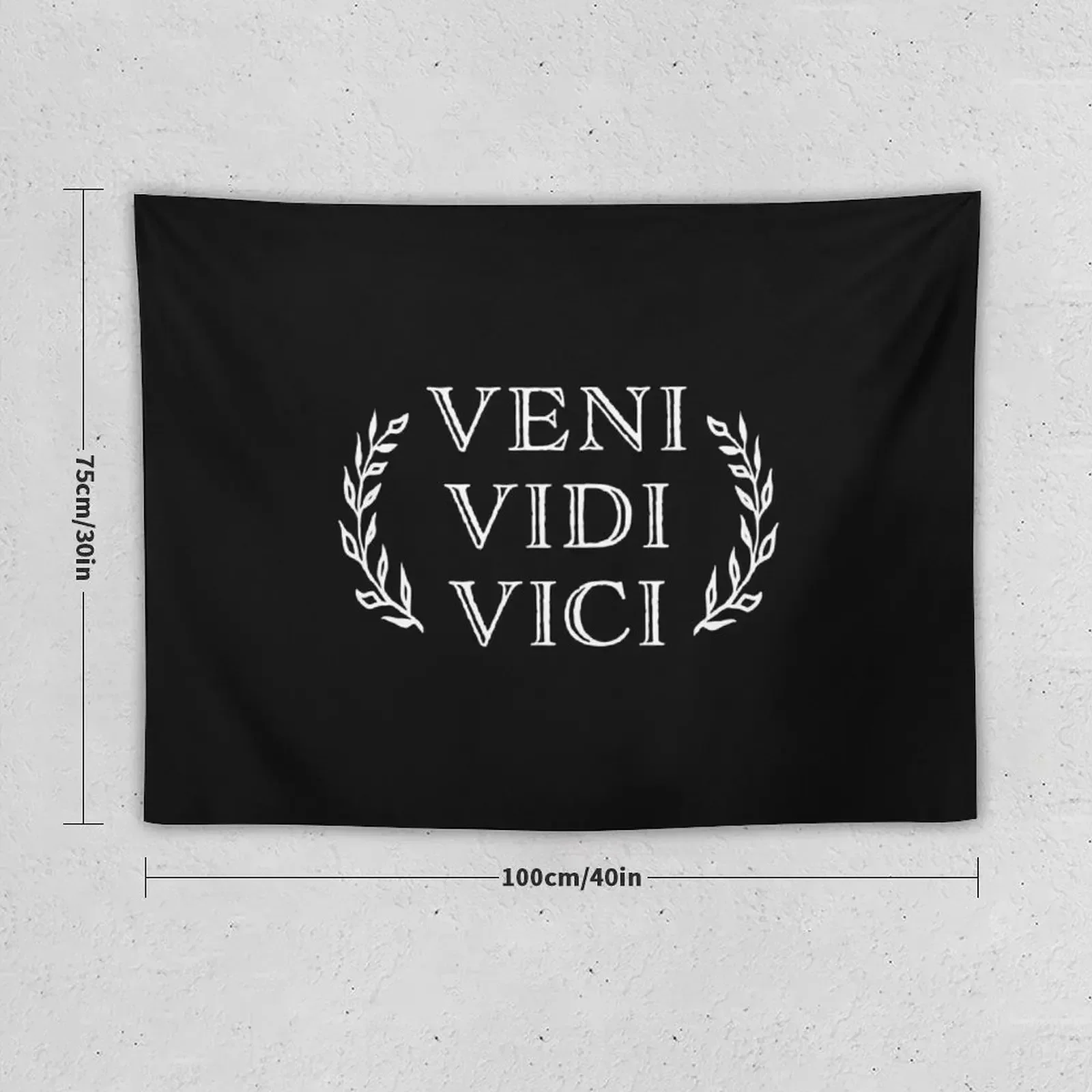 Veni Vidi Vici Caesar Victory Tapestry Decorations For Your Bedroom Bedroom Decorations Aesthetic Room Decor Tapestry