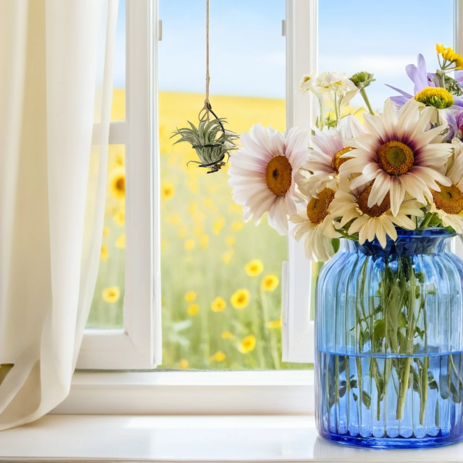 

6Set Metal Hanging Plant Holder Small Spiral Air Plant Rack Decorative Tillandsia Holder Indoor Office Desk Garden Display