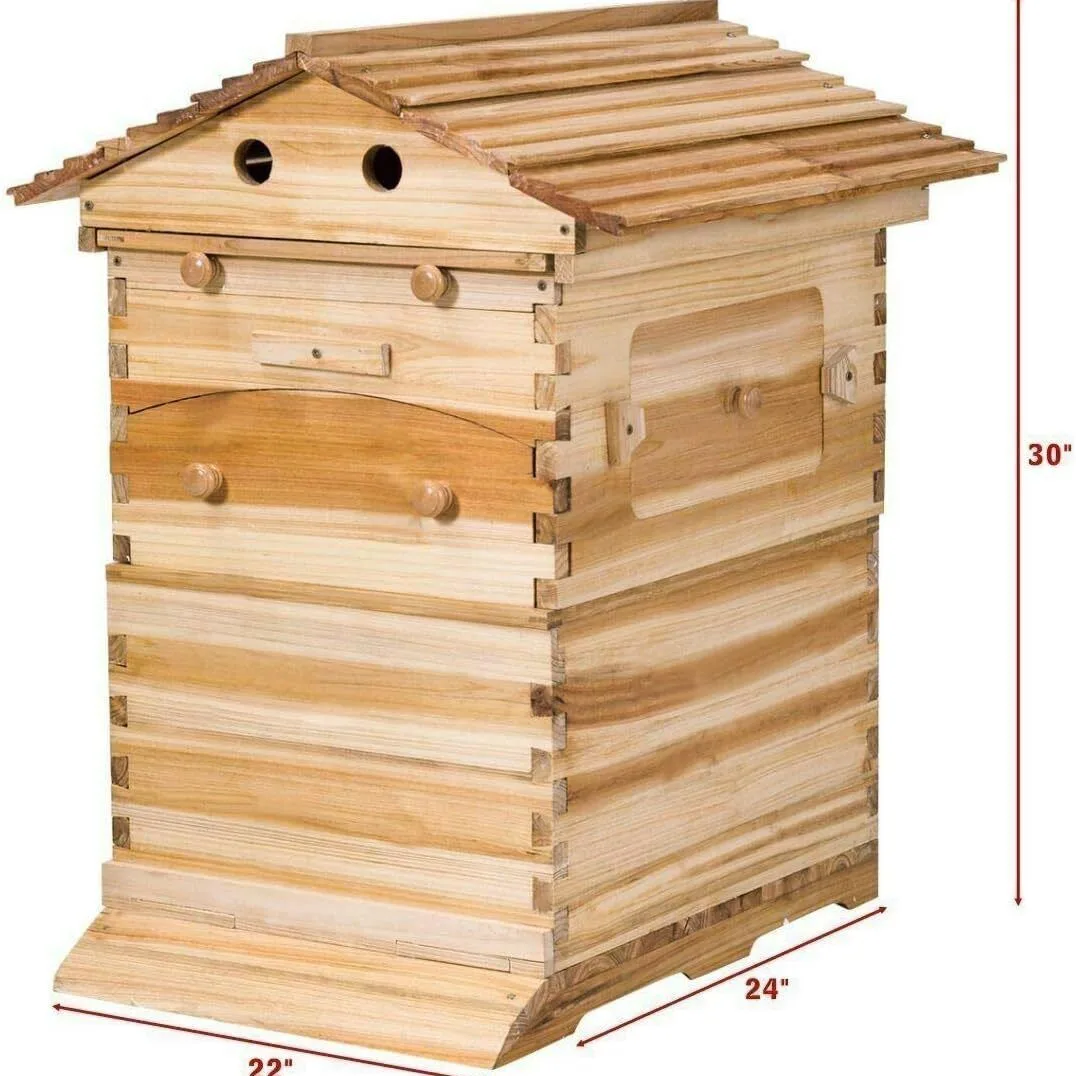 Picture 6: Spot supply Automatic flow honey spleen beehive Self-flow honey nest frame Nest base Automatic honey beehive Boiled wax beehive