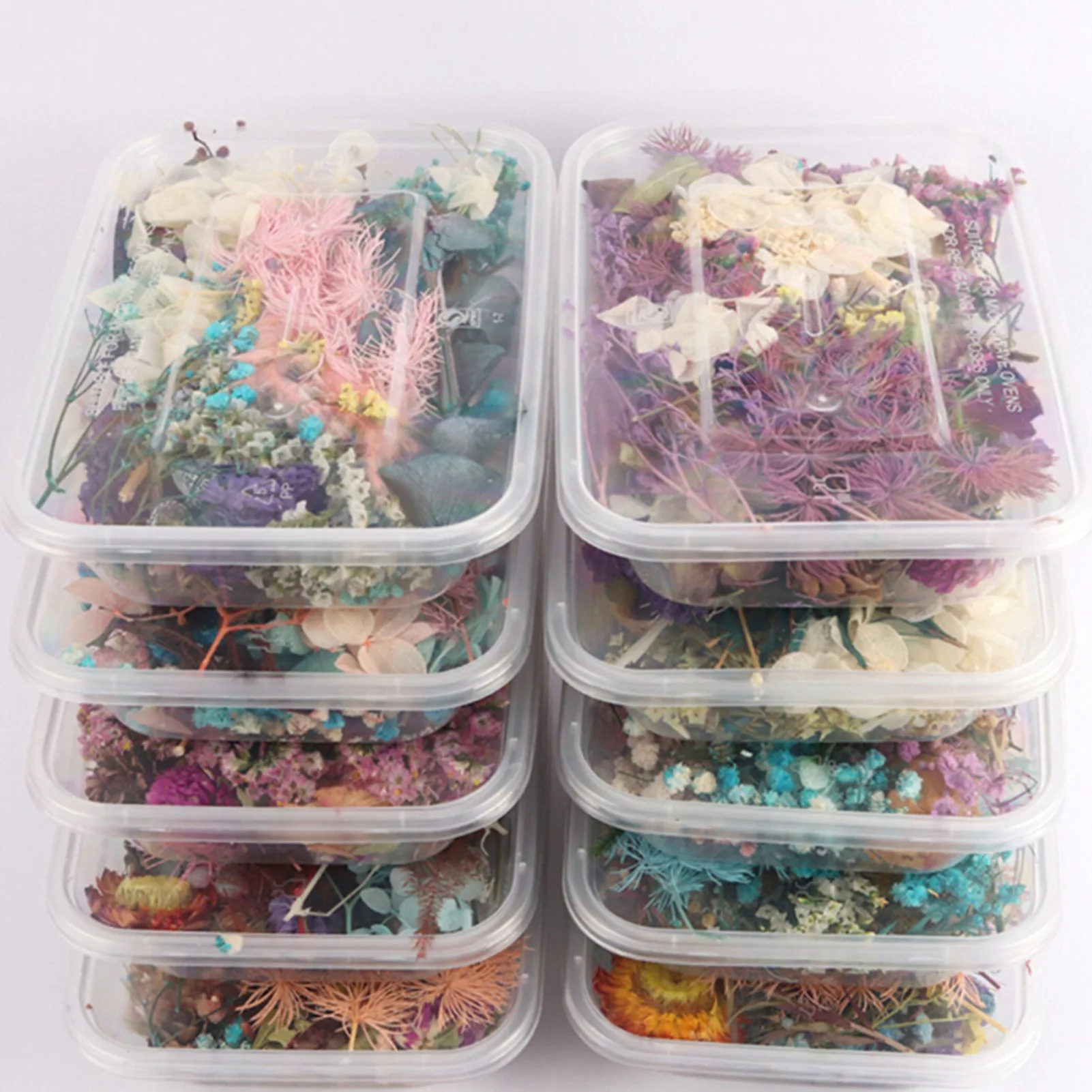 Thumbnail 3 - #5 Trending Dried Flowers Right Now