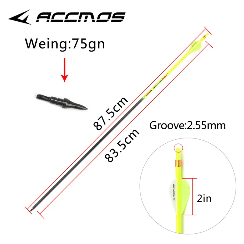 Imagem -06 - Seta Recurva do Carbono Puro para a Caça Exterior Arco Composto Recurvo Espinha 300 340 400 500 600 700 800 Id6.2 mm 32 Peças 12 Peças