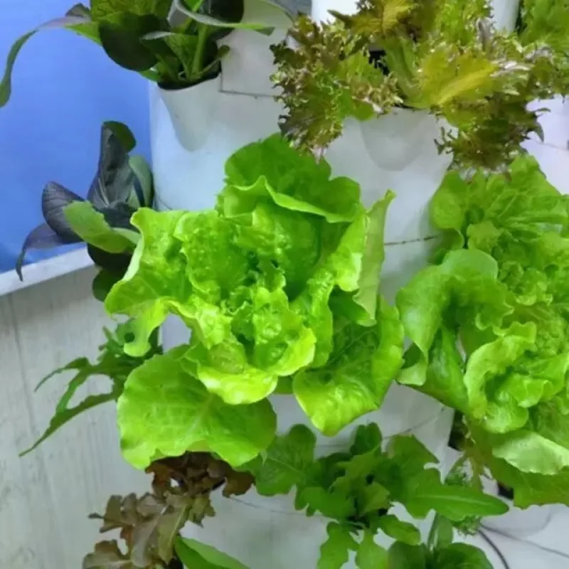 Advanced Gardening Agricultural Vertical Aeroponics Growing Towers System