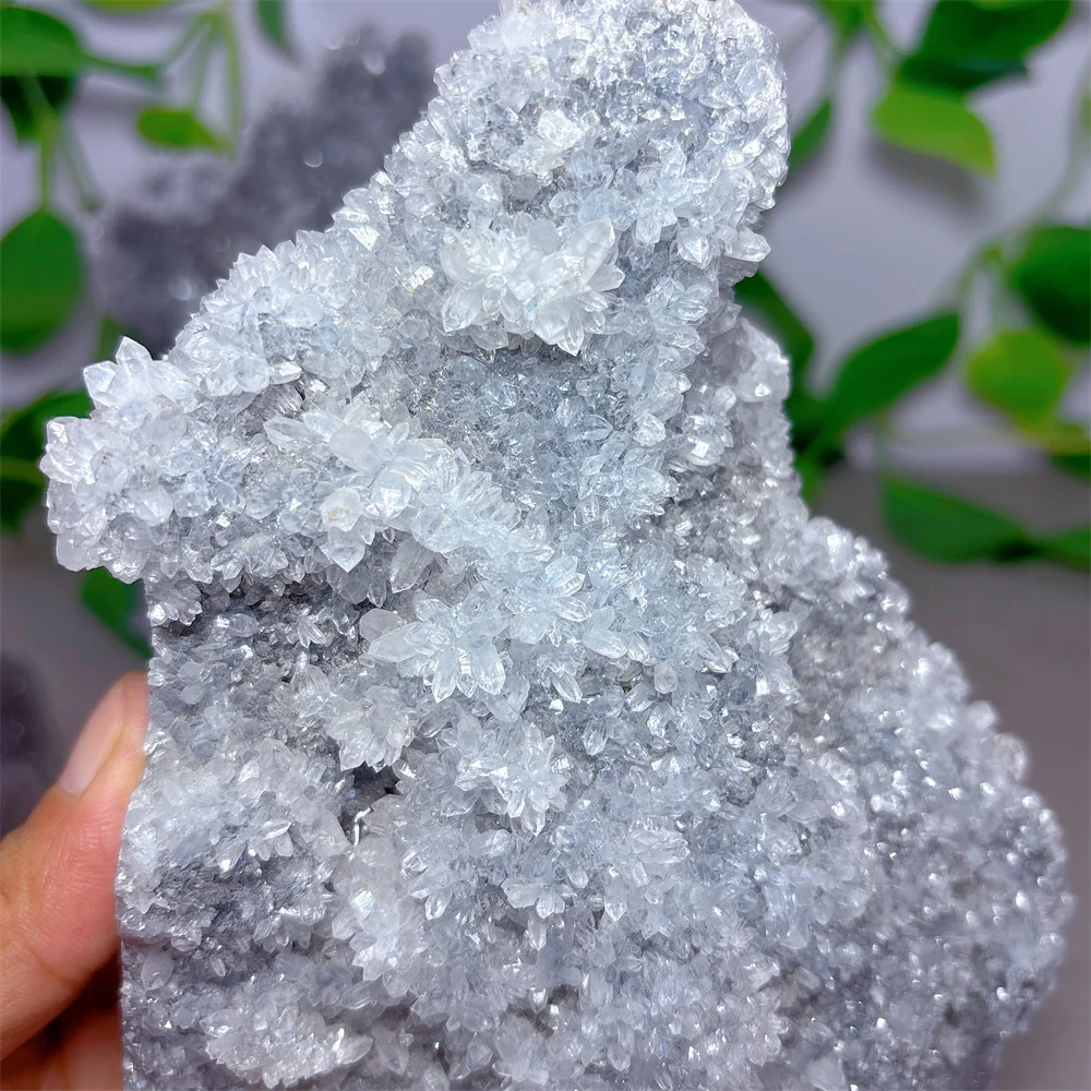Sphalerite Druzy Raw Specimen Natural Crystal Quartz Minerals Stone Home Decoritems Reiki Garden Love Gifts Energy Healing Lucky