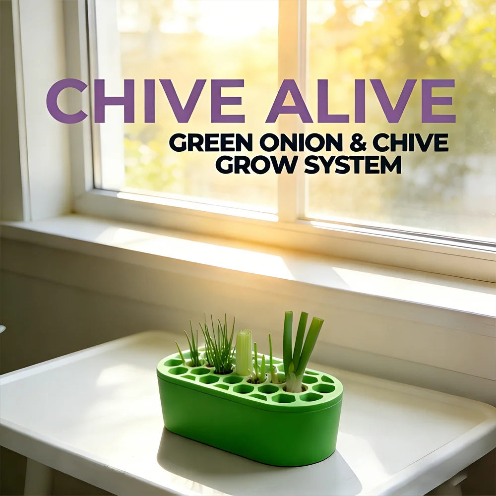 For Balcony Windowsill Fast Regrowth And Continuous Harvest Green Onion Regrow Kit Easy Home Gardening