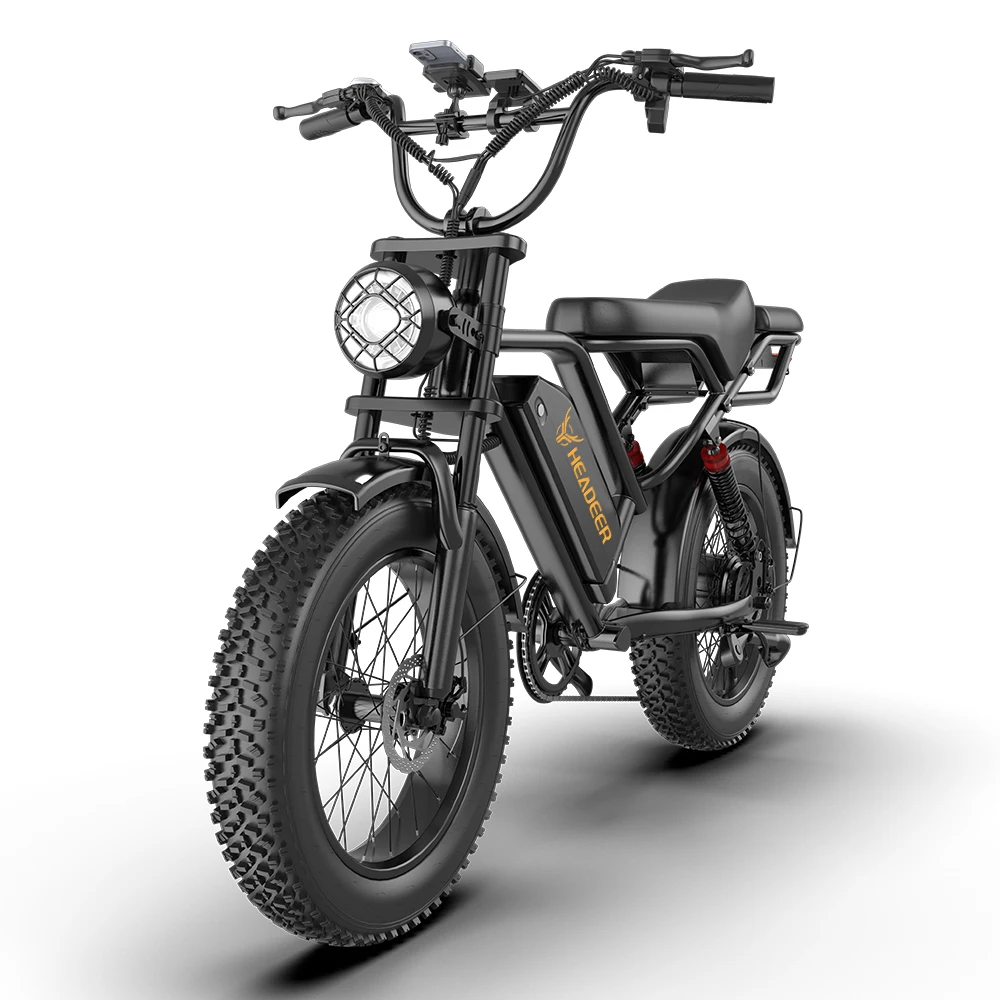 HEADEER BK20 Leistungsstarker Motor 48V20AH Doppelscheibenbremse E-Bike 20 Zoll Fat Tire Allterrain Elektrofahrrad