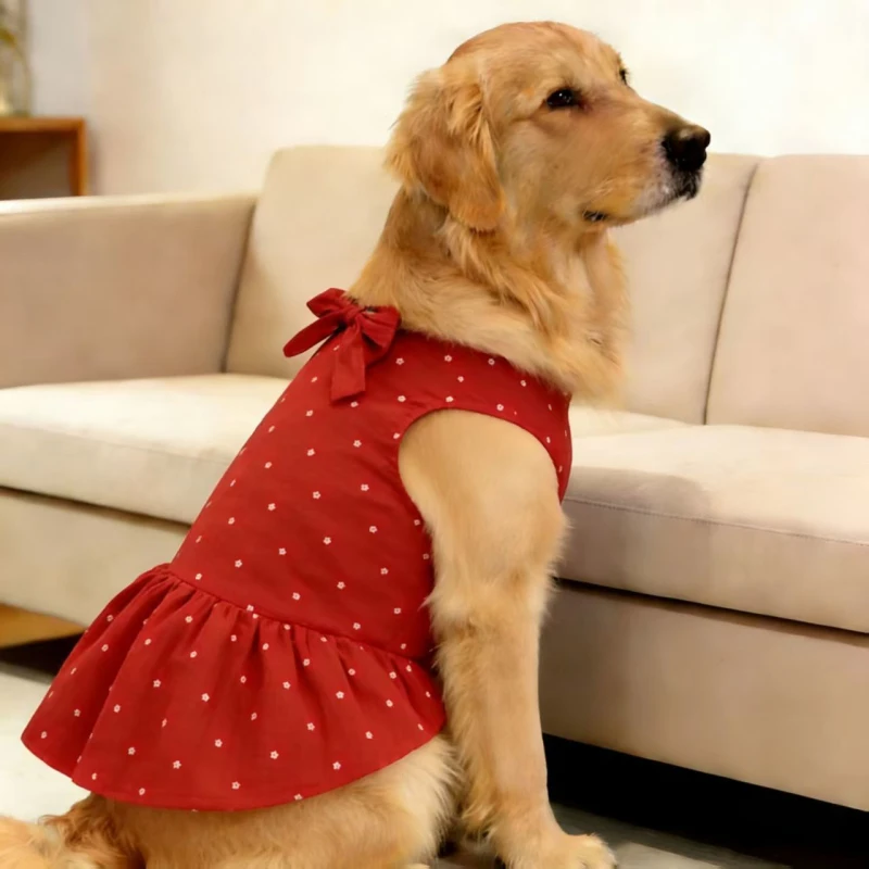 #44 Compare Pet Apparels Before You Buy