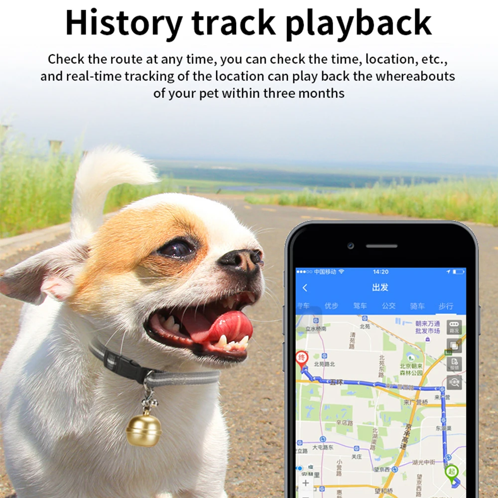 جهاز تعقب GPS لمكافحة فقدان جهاز مكتشف الموضع لأجهزة Android وiOS احصل على تحديد المواقع التطبيق ضد الضياع مع قلادة طوق القطط للحيوانات الأليفة