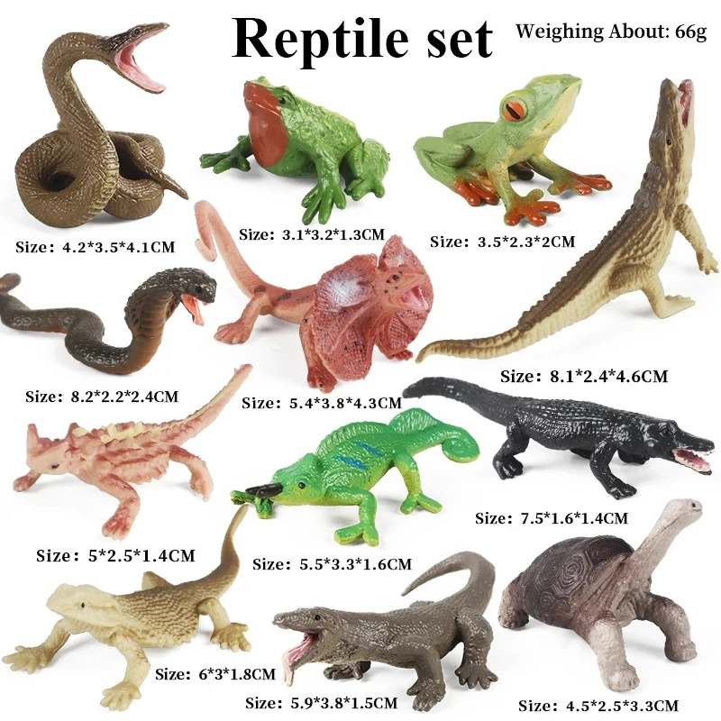 Oenux Insekt Tiere Modell Set Schmetterling Libelle Biene Käfer Spinne Skorpion Mantis Zikade Eidechse Garten Miniatur Kind Spielzeug Geschenk – Detail 12