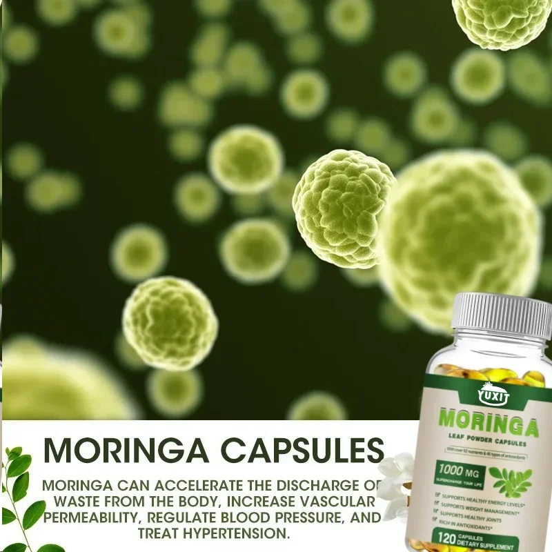 YUXIT High Potency Moringa Oleifera 1000mg Capsules 50 1 Extract Antioxidant 60 120 Veggie Caps