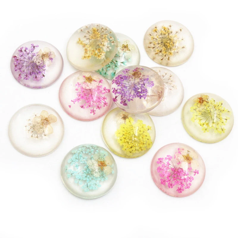 

New Fashion 5pcs 25mm Mix Colors Natural Dried White Chrysanthemum Flowers Cabochons Cameo