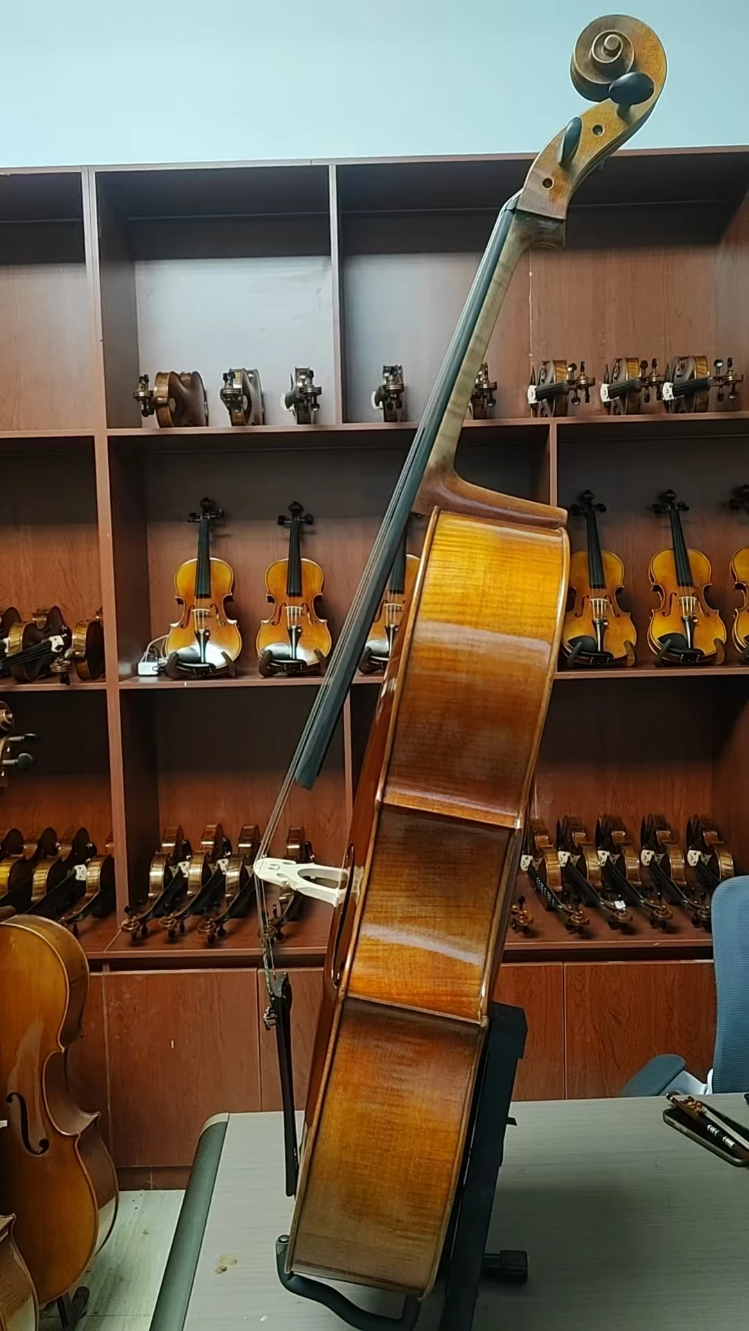 Handmade Ebony Fingerboard 4/4 Cello, Hand Oil Varnished Finish with Hard Case for Professional Performance