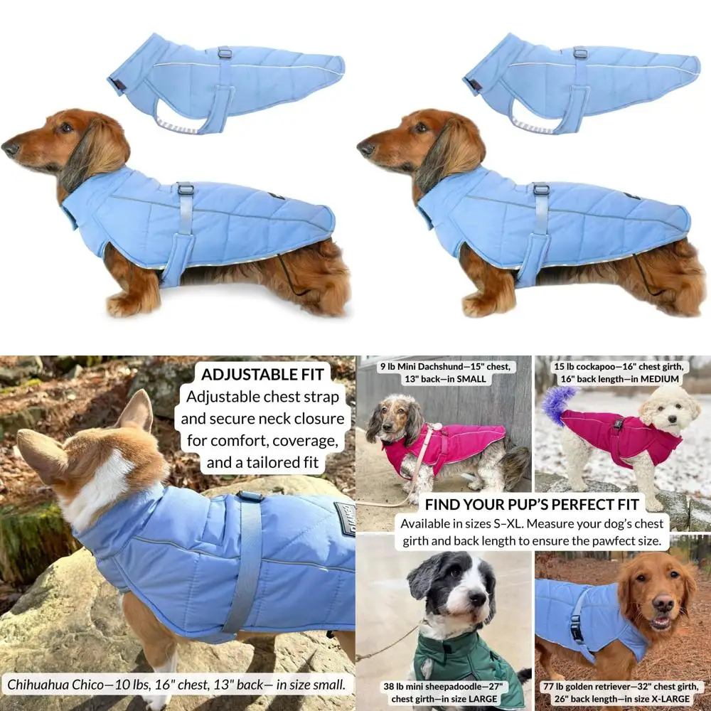 

Warm, Water-Resistant Winter Dog Jacket with Reflective Trim for Small Breeds, Puppies - Dusk Blue, Size Small