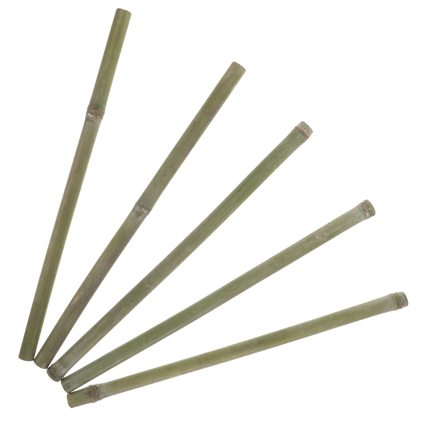 

5 Pcs Bamboo Stakes 40cm Height Decorative Plant Supports Wedding Garden Climbing Plants Trellis