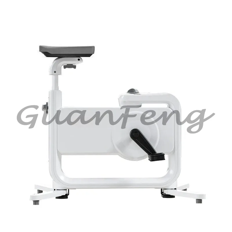 Home Magnetic Control Silent Fitness Office Exercise Weight Loss Small Folding Bicycle