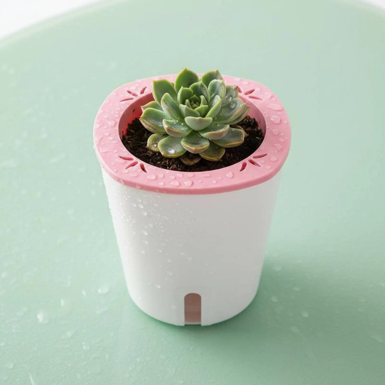 Self Watering Planter Large Size Self Watering Pot Water Reservoir Planter Hydroponic Garden Container Lightweight for Outdoor view 2