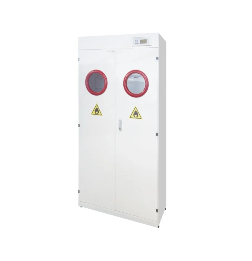 Modern Design of Cold Rolled Steel Structure of Laboratory Furniture Gas Cylinder Cabinet with Vent