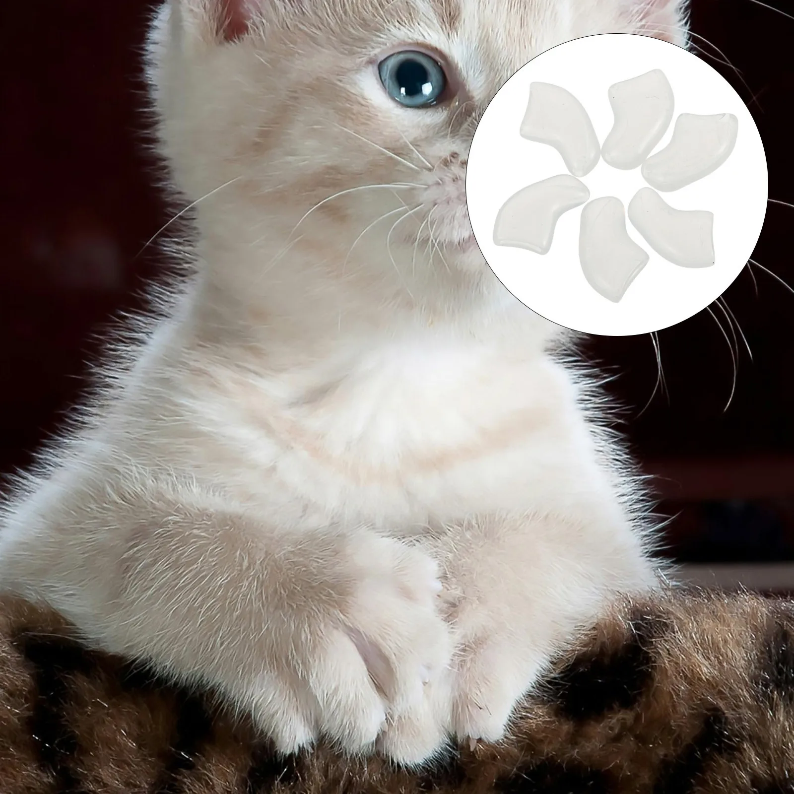 

20Pcs Cat Nail Caps Soft Tpr Anti-Scratch Protective Cover Indoor Kitten Nail Tips Paw Covers Pet Nails Claws Protector