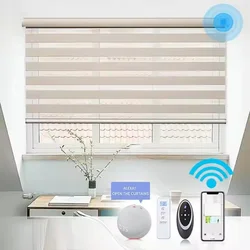 2026New Style Automatic Control Blinds Waterproof Fabric Connect Alexa Google Homekit Motor Automatic Zebra Blinds For Windows