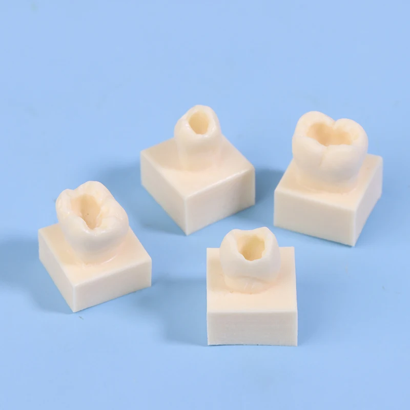 

Лидер продаж, 8 шт./компл., стоматологическая задняя студенческая тренировочная тестовая модель, тренировочная композитная смола, наполнитель зубов, челюсть, стоматологическое оборудование