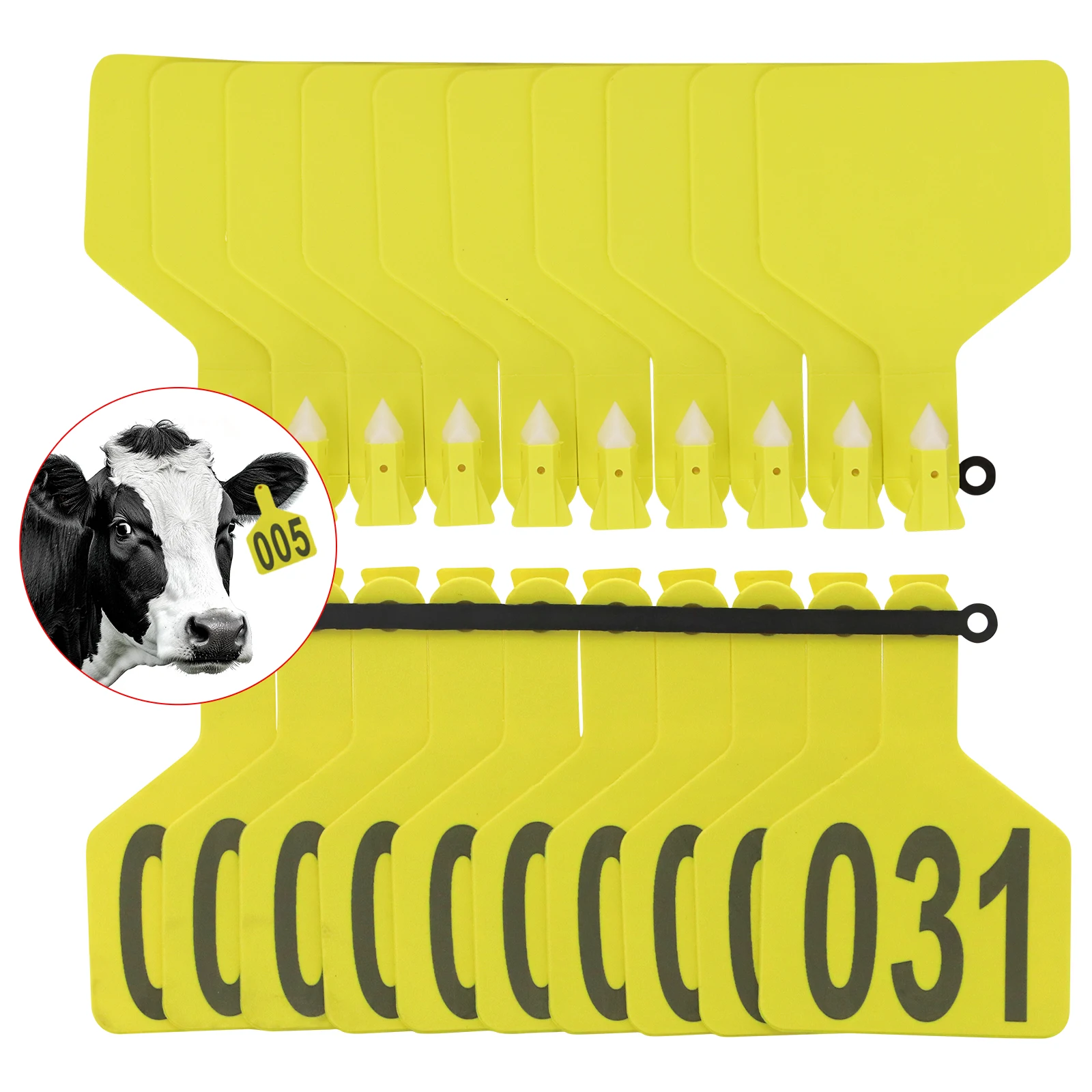 001-50 Etiqueta de oreja integrada de vaca con palabras Pendientes de ganado Animal de granja Caballo Cerdo Herramientas de tarjeta de identificación Material TPU 110x76 mm