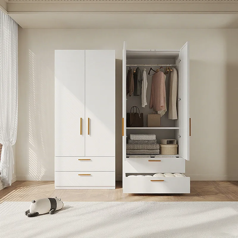 خزانة ملابس بباب مزدوج قابل للتعديل من الفولاذ الحديث مع درجين لأثاث غرفة النوم والفندق وغرفة المعيشة #1