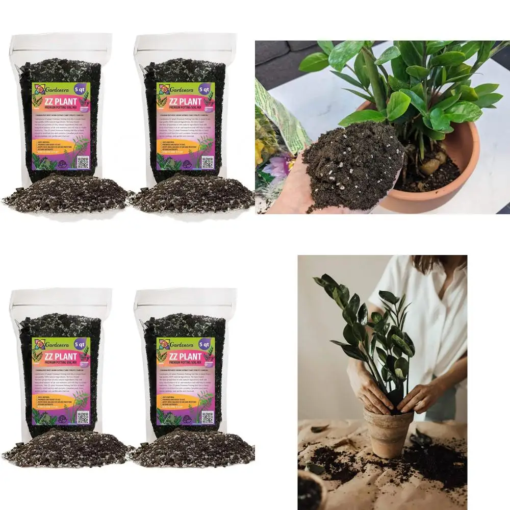 

Premium ZZ Plant Soil - Fast-Draining, 10 Quarts for Long-Lasting Plant Health