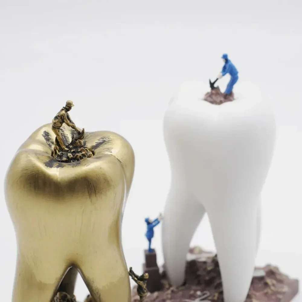 1 pz regalo dentista giocattoli in resina dentale artware denti artigianato odontoiatria clinica decorazione articoli di arredamento scultura creativa