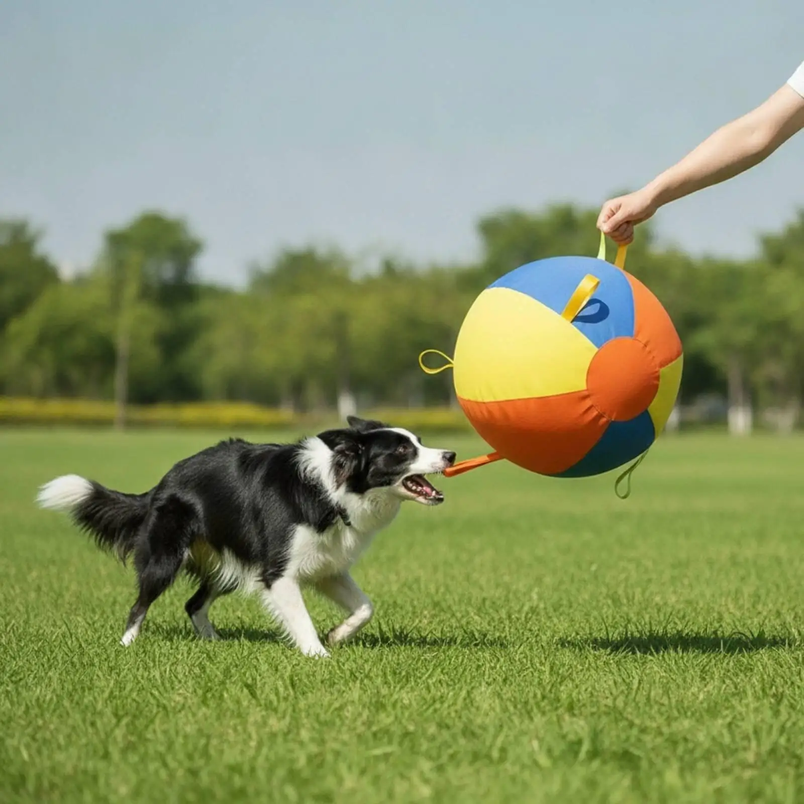 Large Inflatable Pet Play Ball with Grip Handles Thickened PVC and Oxford Fabric for High Energy Dogs Fetch Training