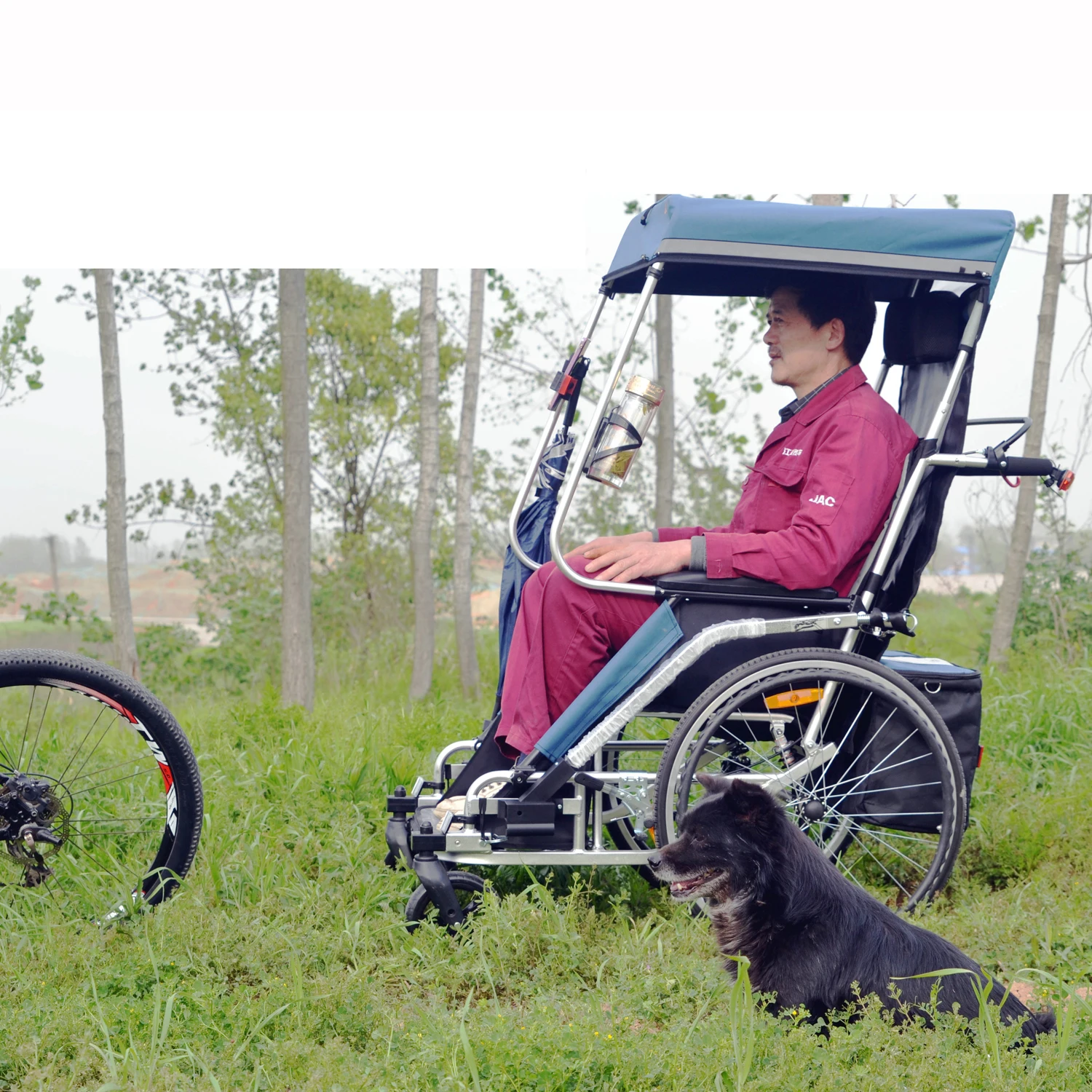 Bike Trailer For Children Adults Jogger & Trailer, Stroller 3 In 1 With 20 Inch Wheels