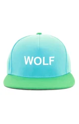 Casquette Snapback pour hommes et femmes, chapeaux d'opérabilité, 2 couleurs, nouveauté 2023, TIB The Creator Wolf, # A608