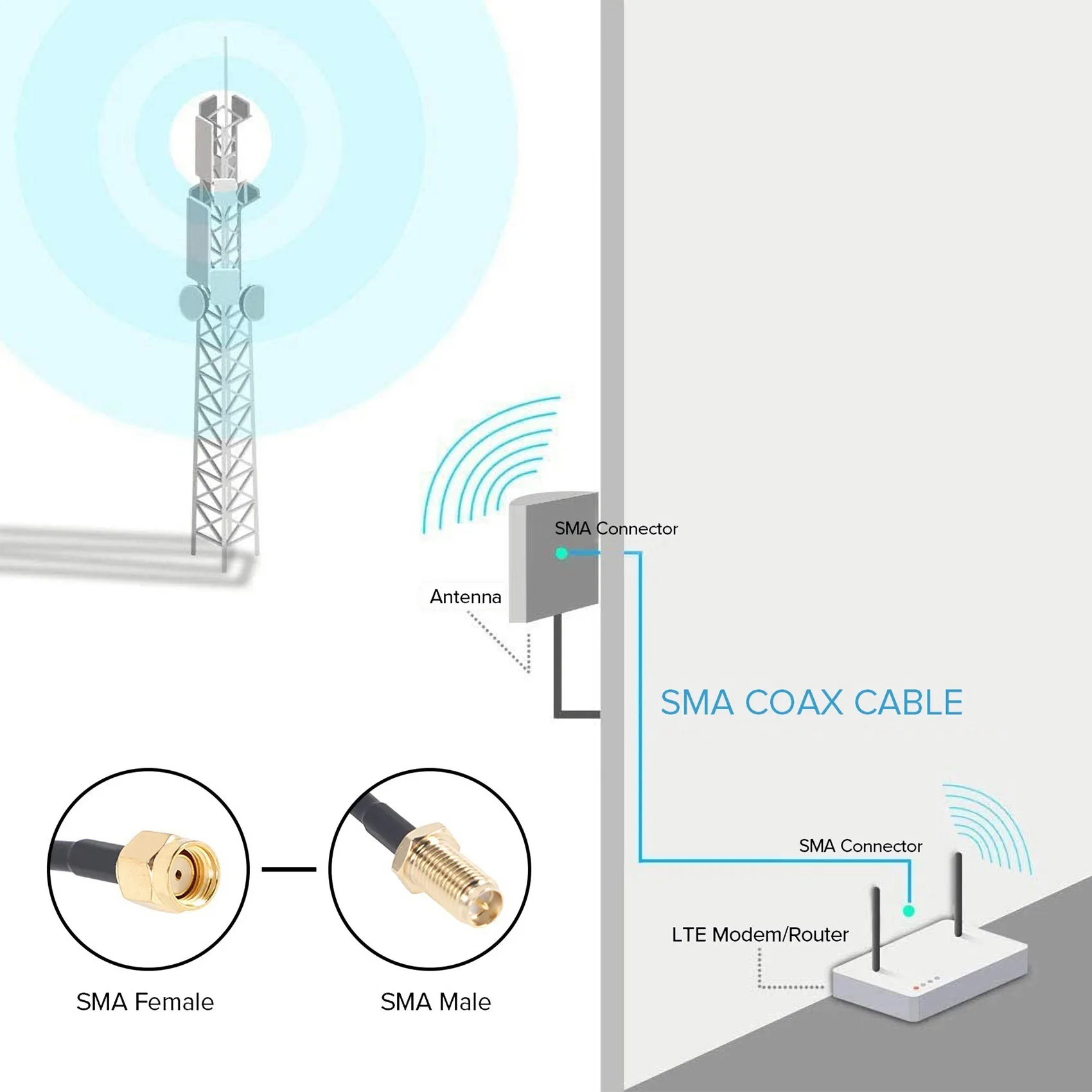 Abgn Rp - Sma Male … - image