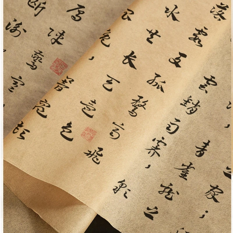 Cicada Wing Wild Goose Skin Long Scroll Rice Paper Chinese Calligraphy Gongbi Line Drawing Traditional Painting Sketch Paper