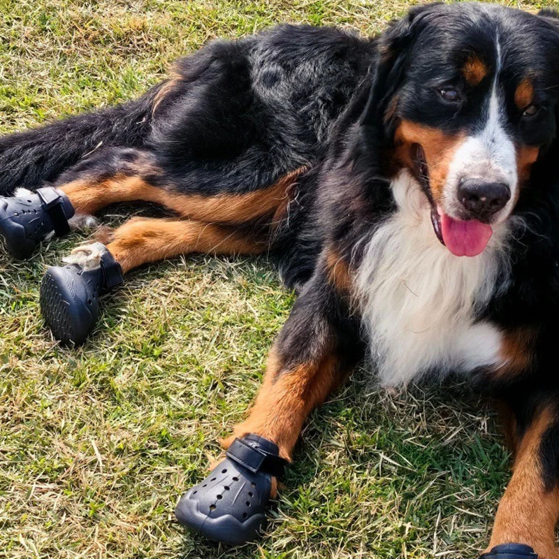 Zapatos de Verano para Perros Transpirables, con Orificios y Duraderos - imagen 3