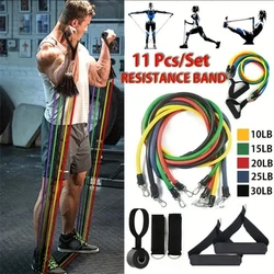 11pcs/Set Pull Rope, Resistance Bands, Portable Fitness Equipment, Ankle Strap, Chest Expander, Elastic Exercise Band