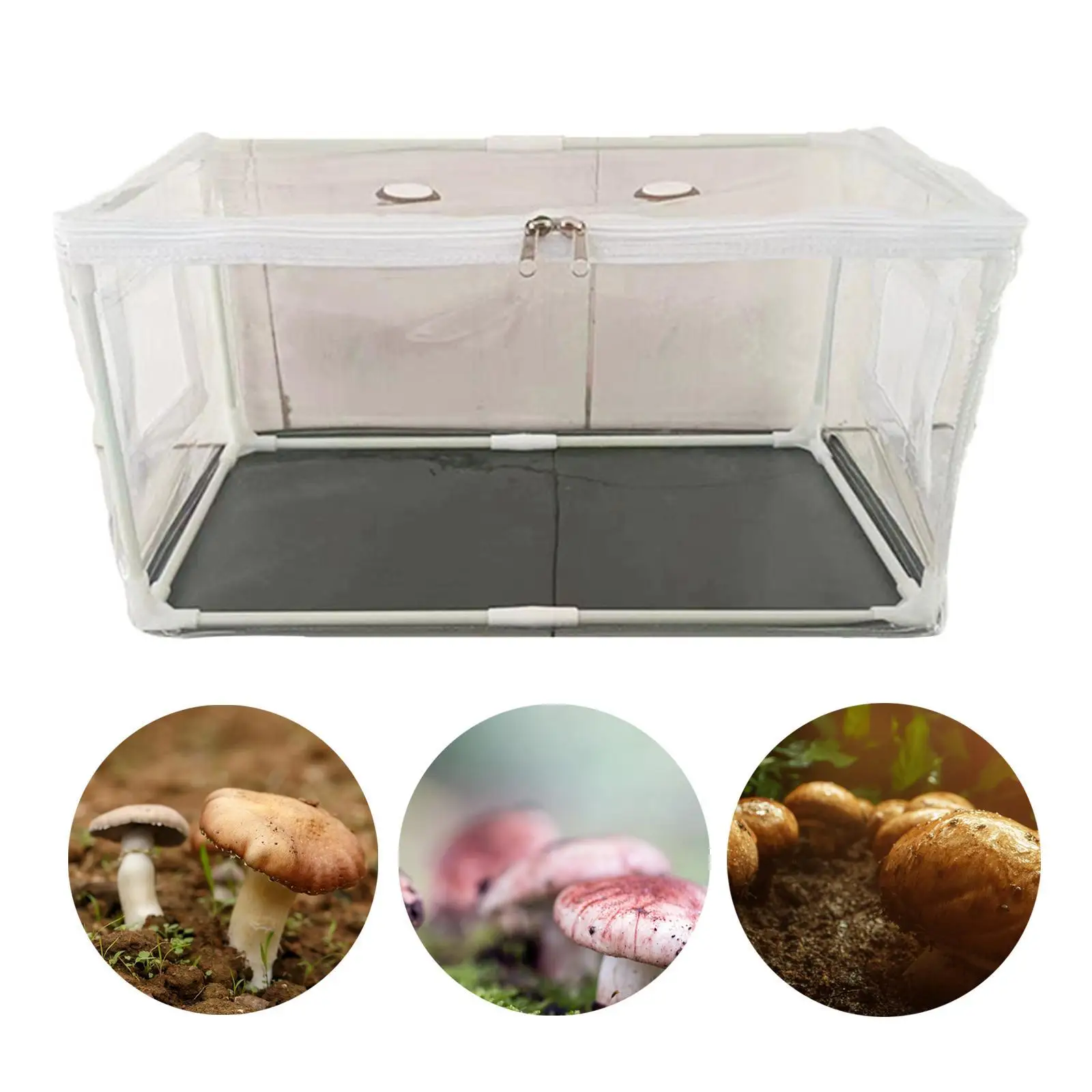 Recipiente de cogumelo kit diy 80cm x 50cm x 50cm suprimentos para horticultura capa para economia de espaço mini estufa para crianças e adultos