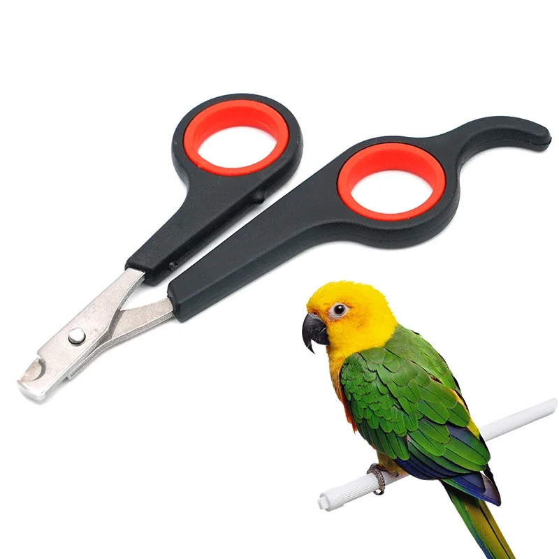 

Pet Bird Parrot Nail Scissor Trimmer clipper Small Animals Accessory Grooming Tool Nail Scissors Clipper