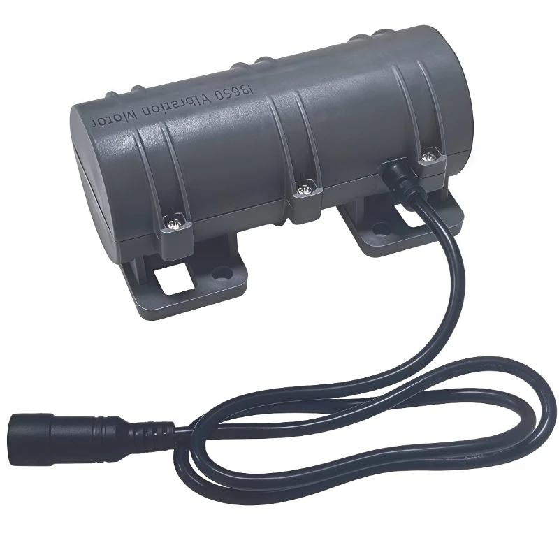 Miniature DC Vibrating Motor 3650 Massage Bed Vibration Motor 12V - 24V Double Eccentric Wheel Electric Motor