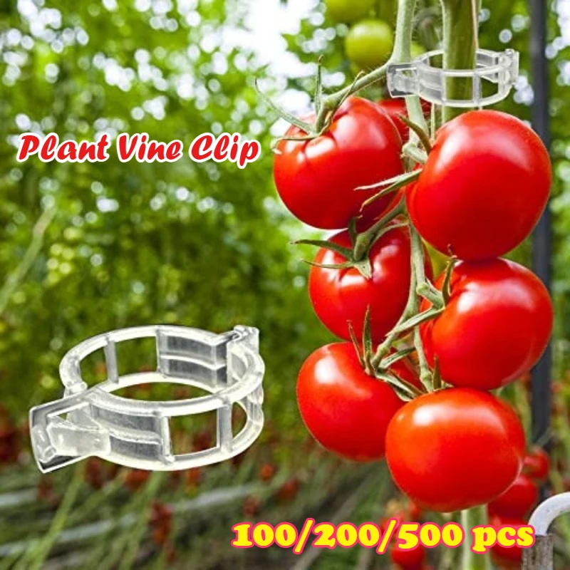 100/200/500 Plant Vine Clip, Support Garden Tying Clamp for Stem,Reusable Gardening Fixation Clips for Plants, Transparent