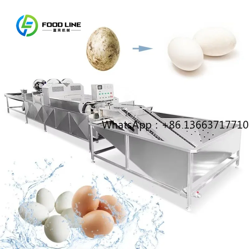 Industrial Automatic Egg Washer Machine with Brush Cleaning System, Customized Device Special for Duck Egg Washing
