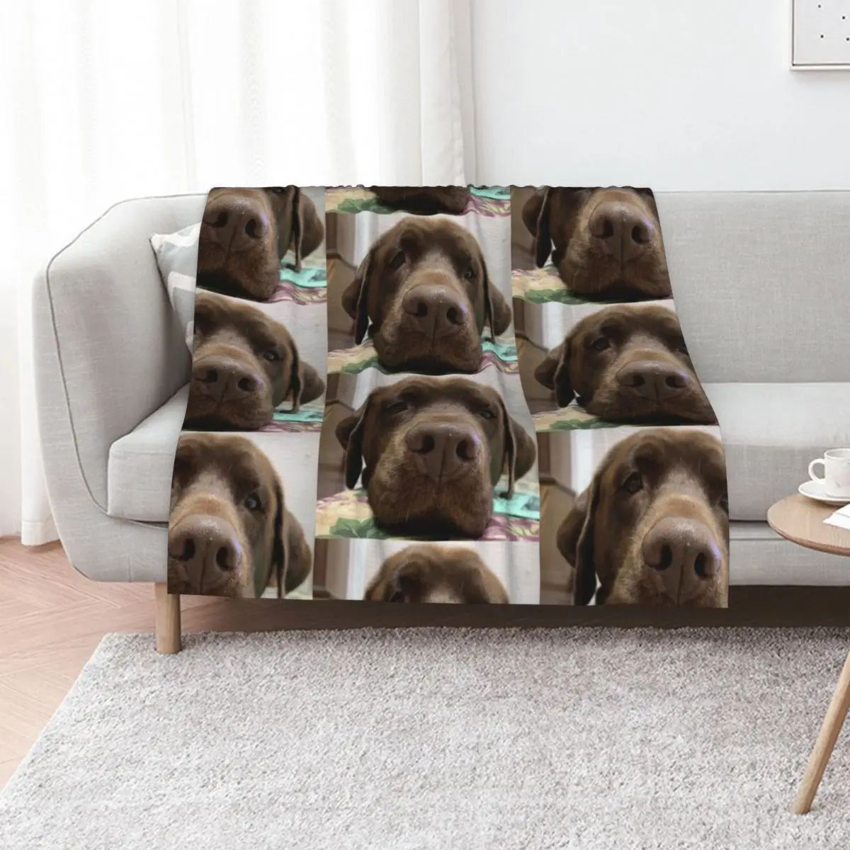 Chocolate Lab/Mix Throw Blanket for winter anime Nap Retros Hairys Travel Blankets