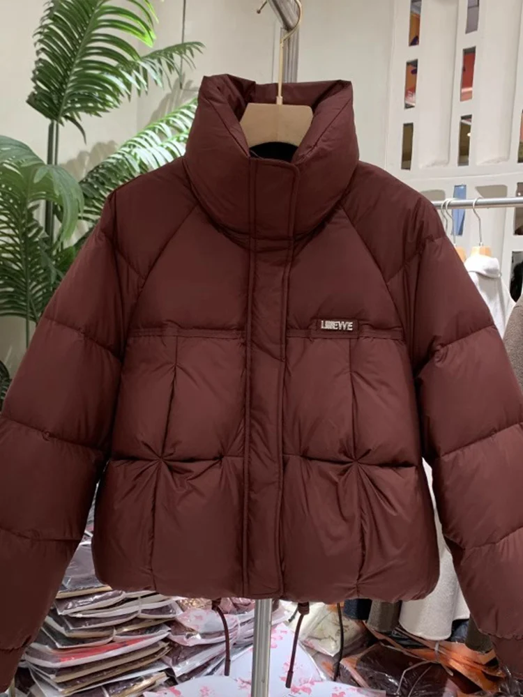 

Модная короткая хлопковая куртка для женщин, зимнее пальто в корейском стиле, свободный крой, стандартный фасон, длинная молния, однотонный дизайн