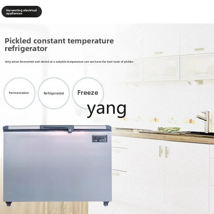 CX 冷蔵および冷凍小型家庭用および商業用横型スマート冷凍庫、浸漬野菜ボックス付き