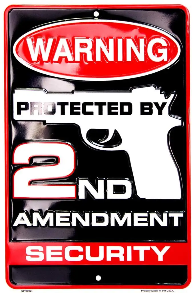 Tag City Novelty SP80063 Warning Protected By 2nd Amendment Security Metal Sign, (8 X 12 Inches)