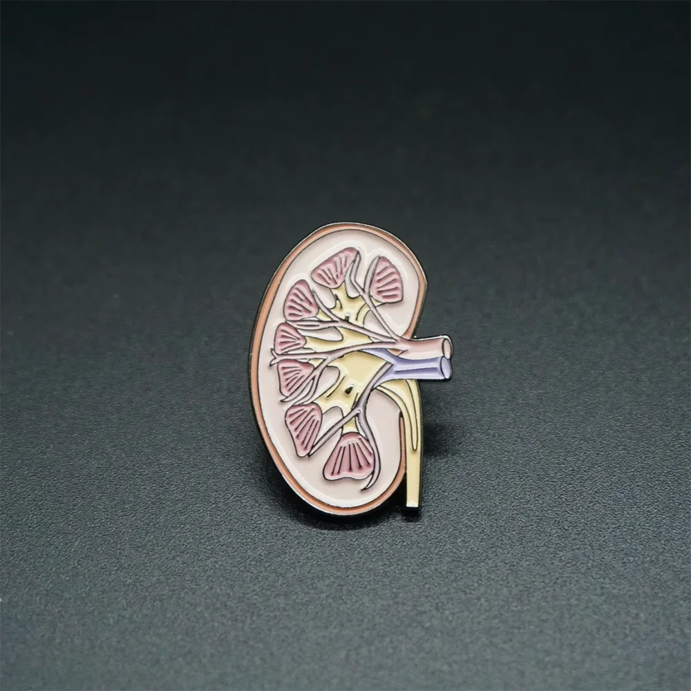 Hanreshe Kidney Anatomy Brooch Enamel Lapel Pins Medical Jewelry Badge Biology Gift for Doctor Nurse Medical Student