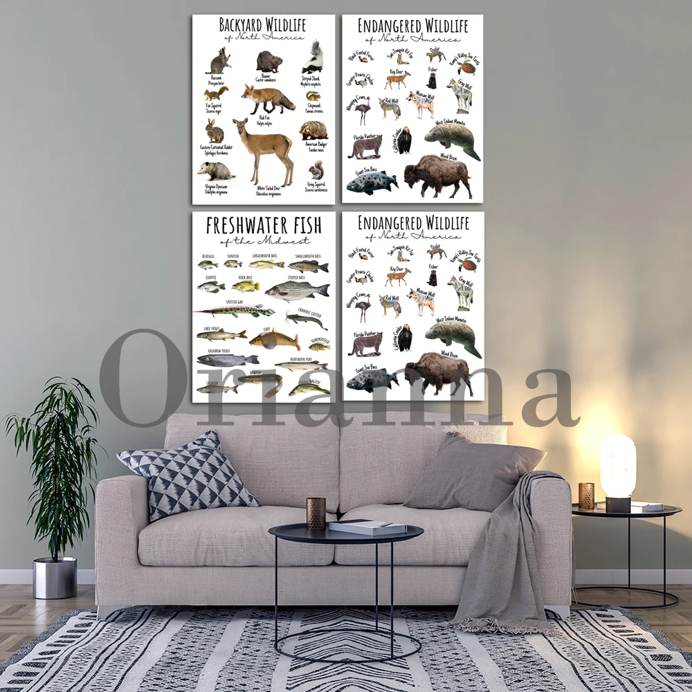 Freshwater Fish Of The Midwest Chart Print Endangered Wildlife Of North America Poster Educational Decor-Conservation-Wall Art