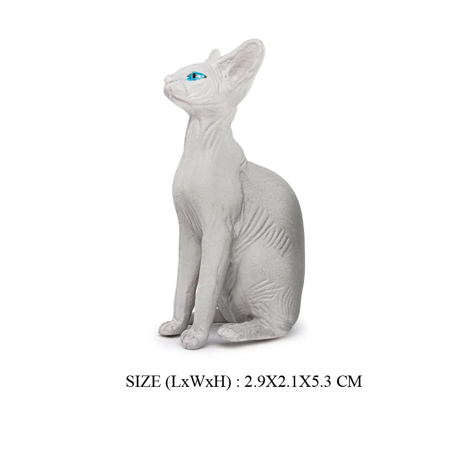 Cat -1