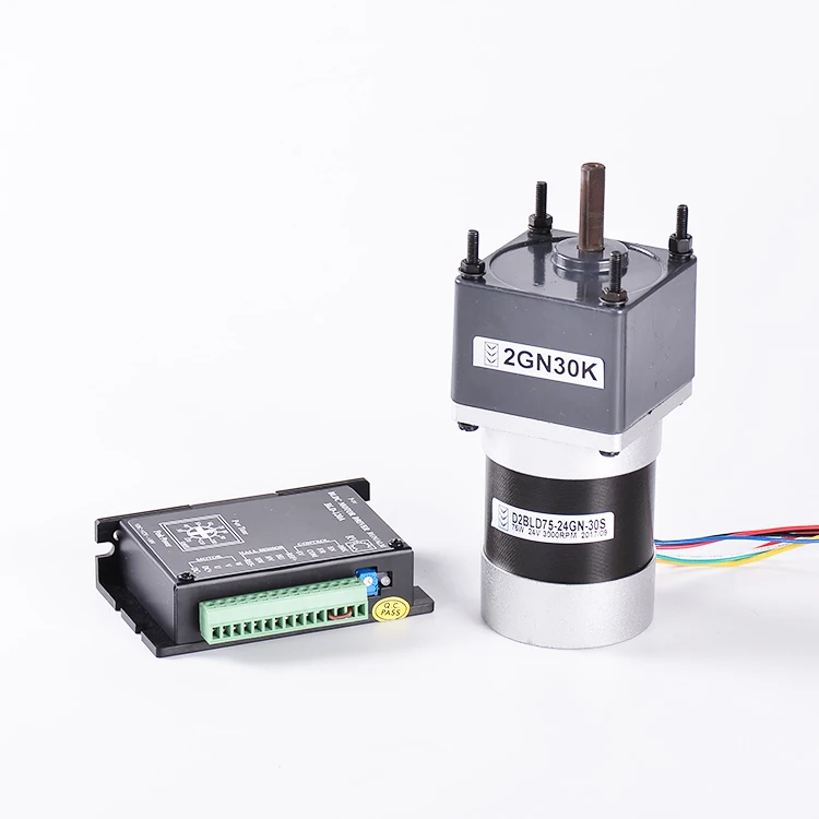 Custom Gearbox Differential Motor 12Volt 36Volt 150W 300W 150RPM 300RPM 7Nm High Torque Low RPM Gearbox Brushless DC Motor