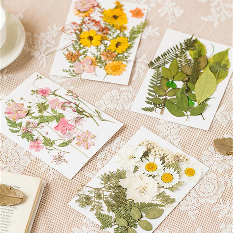 50 Dry Pressed Stickers with Resin Flowers Real and Natural Embossed Leaves Used for DIY Process