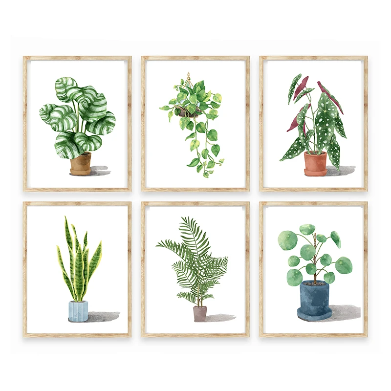 Nordic Nature Inspired Greenery Botanical Poster Canvas Paintings Wall Art Prints Plant Leaves Pictures for Living Room Decor