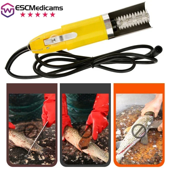 120W Pro Fish Descaler Electric - Commercial Stainless Tool W/ Splash Shield for Restaurants, Fish Markets & Home Kitchen